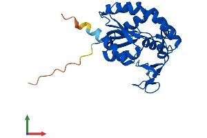 AlphaFold protein structure predicition of Mouse Recombinant Ak2 Protein, UniprotID Q9WTP6