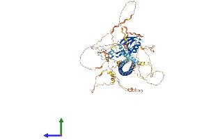 AlphaFold protein structure predicition of Mouse Recombinant Ppp1r9b Protein, UniprotID Q6R891