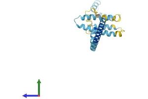 AlphaFold protein structure predicition of Mouse Recombinant Reep6 Protein, UniprotID Q9JM62