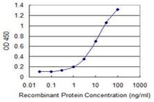Detection limit for recombinant GST tagged GNL3 is 0. (Nucleostemin anticorps  (AA 328-427))