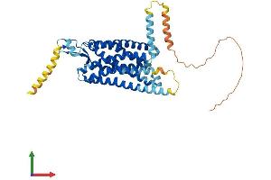 AlphaFold protein structure predicition of Human Recombinant NMUR2 Protein, UniprotID Q9GZQ4