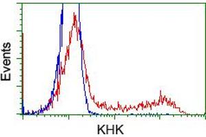 HEK293T cells transfected with either RC202424 overexpress plasmid (Red) or empty vector control plasmid (Blue) were immunostained by anti-KHK antibody (ABIN2453197), and then analyzed by flow cytometry. (Ketohexokinase anticorps)