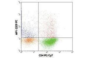 Flow Cytometry (FACS) image for anti-Colony Stimulating Factor 2 (Granulocyte-Macrophage) (CSF2) antibody (PE) (ABIN2663708) (GM-CSF anticorps  (PE))