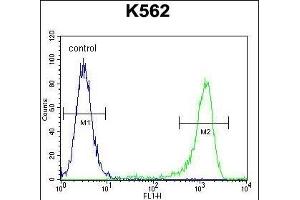 MLH1 Antibody (Center) (ABIN655632 and ABIN2845111) flow cytometric analysis of K562 cells (right histogram) compared to a negative control cell (left histogram).