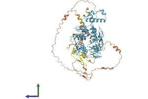 AlphaFold protein structure predicition of Human Recombinant RBAK Protein, UniprotID Q9NYW8