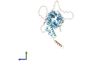 AlphaFold protein structure predicition of Human Recombinant ZNF470 Protein, UniprotID Q6ECI4