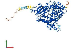 AlphaFold protein structure predicition of Mouse Recombinant Cyp19a1 Protein, UniprotID P28649