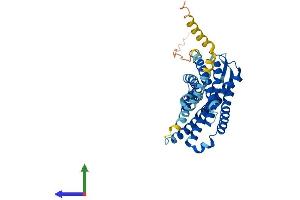 AlphaFold protein structure predicition of Mouse Recombinant Ccr8 Protein, UniprotID P56484