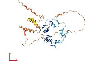 AlphaFold protein structure predicition of Human Recombinant OSR2 Protein, UniprotID Q8N2R0