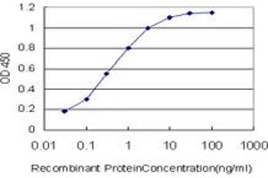 Detection limit for recombinant GST tagged MDM2 is approximately 0. (MDM2 anticorps  (AA 101-200))