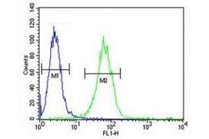 SOX4 antibody flow cytometric analysis of A2058 cells (green) compared to a negative control (blue).