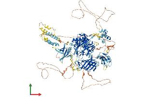 AlphaFold protein structure predicition of Mouse Recombinant Inppl1 Protein, UniprotID Q6P549