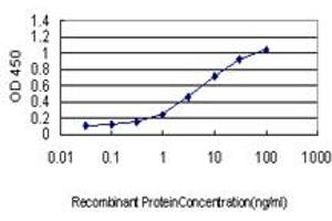 Detection limit for recombinant GST tagged HTRA2 is approximately 0.