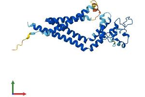 AlphaFold protein structure predicition of Mouse Recombinant Tspan5 Protein, UniprotID P62080