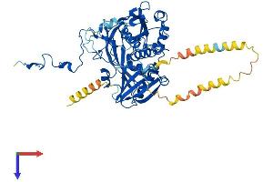 AlphaFold protein structure predicition of Mouse Recombinant Eif3d Protein, UniprotID O70194