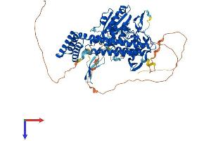 AlphaFold protein structure predicition of Mouse Recombinant Pcif1 Protein, UniprotID P59114