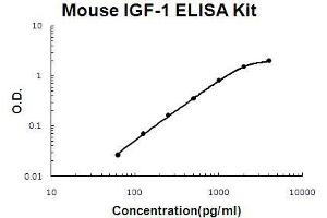 Mouse IGF-1 PicoKine ELISA Kit standard curve (IGF1 Kit ELISA)