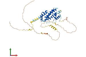 AlphaFold protein structure predicition of Human Recombinant PRR5L Protein, UniprotID Q6MZQ0
