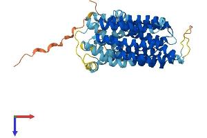 AlphaFold protein structure predicition of Human Recombinant SLC46A1 Protein, UniprotID Q96NT5