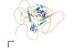 AlphaFold protein structure predicition of Mouse Recombinant Csrnp3 Protein, UniprotID P59055