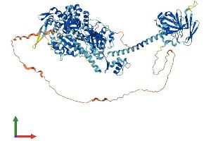 AlphaFold protein structure predicition of Mouse Recombinant Myo1e Protein, UniprotID E9Q634