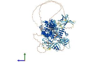 AlphaFold protein structure predicition of Mouse Recombinant Mov10l1 Protein, UniprotID Q99MV5