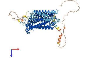 AlphaFold protein structure predicition of Human Recombinant SLC5A5 Protein, UniprotID Q92911