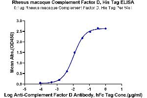 Immobilized Rhesus macaque Complement Factor D, His Tag at 1 μg/mL (100 μL/well) on the plate.