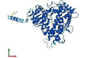 AlphaFold protein structure predicition of Human Recombinant CYP1A1 Protein, UniprotID P04798