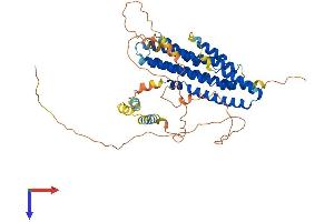 AlphaFold protein structure predicition of Mouse Recombinant Fam114a2 Protein, UniprotID Q8VE88