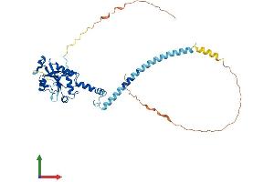 AlphaFold protein structure predicition of Mouse Recombinant Pcyt1b Protein, UniprotID Q811Q9