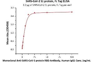 Immobilized SARS-CoV-2 S1 protein, Fc Tag (ABIN6952624) at 2 μg/mL (100 μL/well) can bind Monoclonal Anti-SARS-CoV-S protein RBD Antibody, Human IgG1 with a linear range of 0.