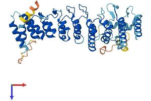 AlphaFold protein structure predicition of Human Recombinant ASB6 Protein, UniprotID Q9NWX5