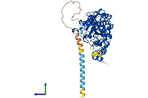 AlphaFold protein structure predicition of Human Recombinant FUT10 Protein, UniprotID Q6P4F1
