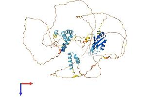 AlphaFold protein structure predicition of Human Recombinant CSTF2T Protein, UniprotID Q9H0L4