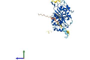 AlphaFold protein structure predicition of Human Recombinant B4GALT3 Protein, UniprotID O60512