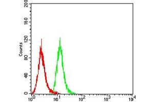Flow cytometric analysis of Hela cells using CD63 mouse mAb (green) and negative control (red).
