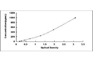 Typical standard curve (CDNF Kit ELISA)