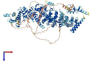 AlphaFold protein structure predicition of Mouse Recombinant Ube4b Protein, UniprotID Q9ES00