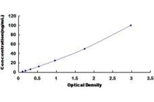 Typical standard curve (AFMID Kit ELISA)