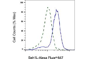 Validation of Seh1L knockdown using flow cytometry. (Recombinant SEH1L anticorps)