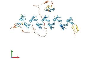 AlphaFold protein structure predicition of Human Recombinant ZNF347 Protein, UniprotID Q96SE7
