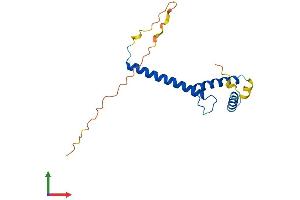 AlphaFold protein structure predicition of Mouse Recombinant Twist2 Protein, UniprotID Q9D030