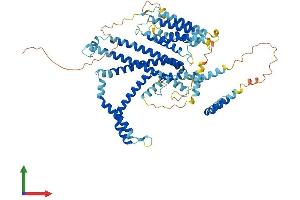 AlphaFold protein structure predicition of Human Recombinant STRA6 Protein, UniprotID Q9BX79