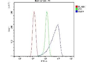 Flow Cytometry analysis of Hela cells using anti-Rab9/RAB9A antibody (ABIN7601611). (RAB9A anticorps  (AA 4-171))