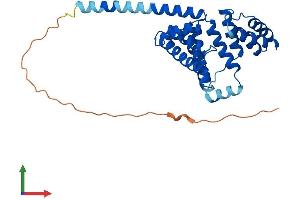 AlphaFold protein structure predicition of Mouse Recombinant Rmdn1 Protein, UniprotID Q9DCV4