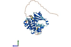 AlphaFold protein structure predicition of Human Recombinant AURKB Protein, UniprotID Q96GD4