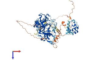 AlphaFold protein structure predicition of Human Recombinant L3MBTL4 Protein, UniprotID Q8NA19