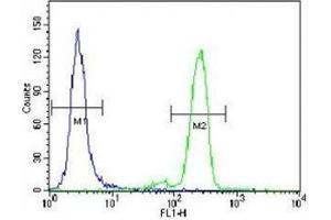 PML antibody flow cytometric analysis of HeLa cells (right histogram) compared to a negative control (left histogram). (PML anticorps  (Sumoylation Site))