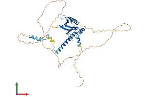 AlphaFold protein structure predicition of Mouse Recombinant Ipcef1 Protein, UniprotID Q5DU31
